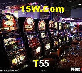 Recursos de Bônus T55