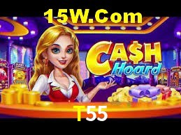 Flash Promotion T55